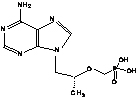 9-[(R)-2-(磷酰甲氧基)丙基]腺嘌呤 (R-PMPA)
