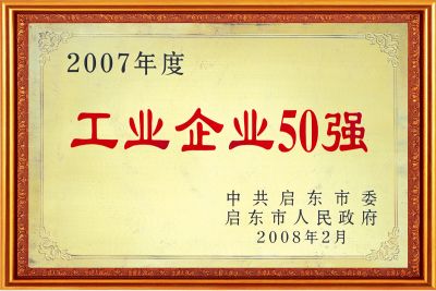 2007工业企业50强